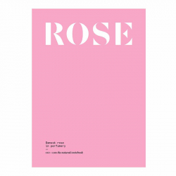 The damask rose in perfumery – magazyn olfaktoryczny