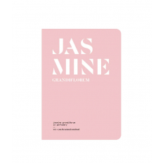 Jasmine grandiflorum in perfumery - magazyn olfaktoryczny