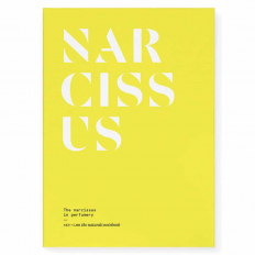 The narcissus in perfumery – magazyn olfaktoryczny