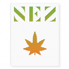 NEZ 8 - magazyn olfaktoryczny - wersja ANG